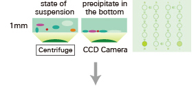 cobio_s50_09.jpg